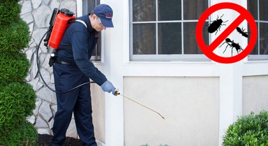 Karpuzlu Tahtakurusu İlaçlama böcek ilaçlama ve haşere kontrolü — ilaclama-tr.com